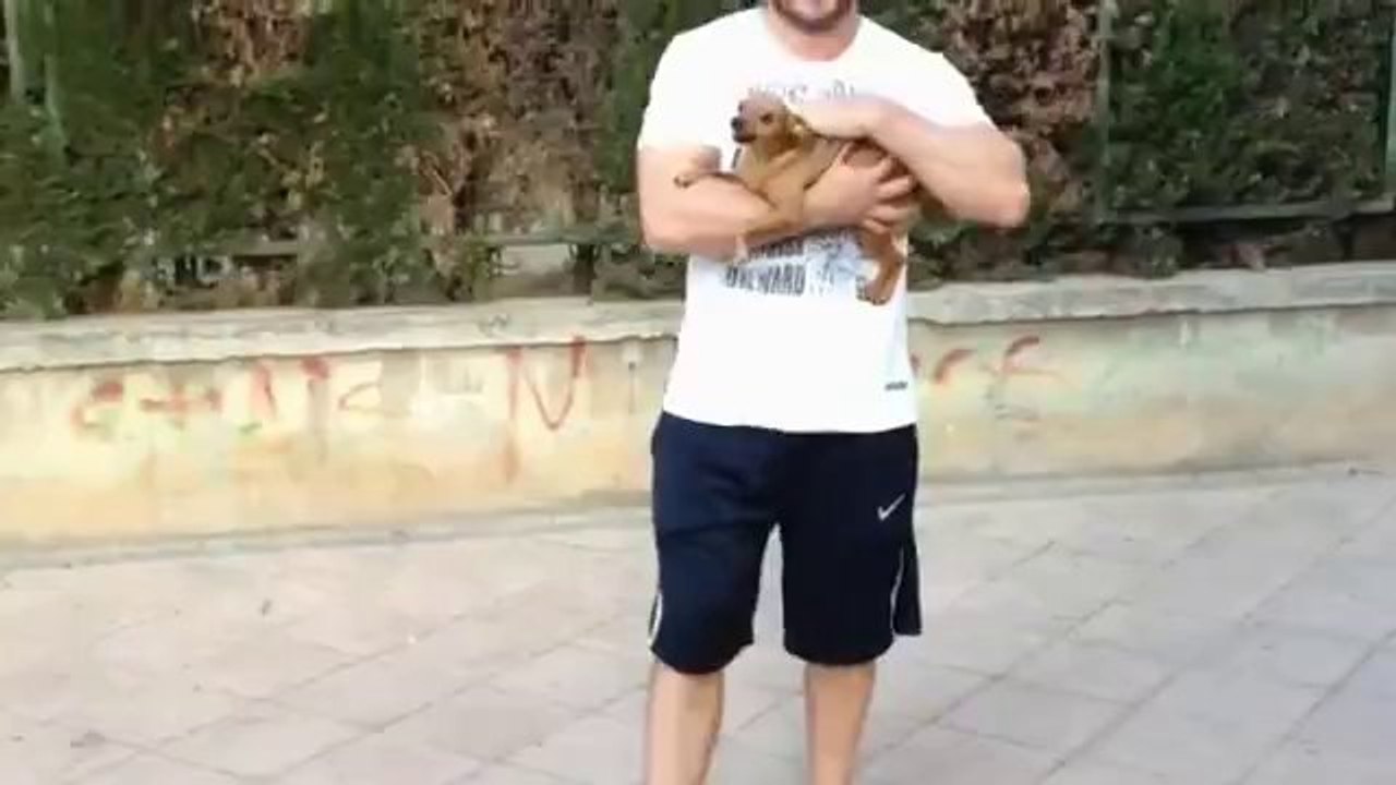 Cooles Hündchen zeigt uns einige Tricks