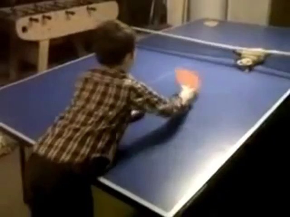 Das Ping Pong Kätzchen