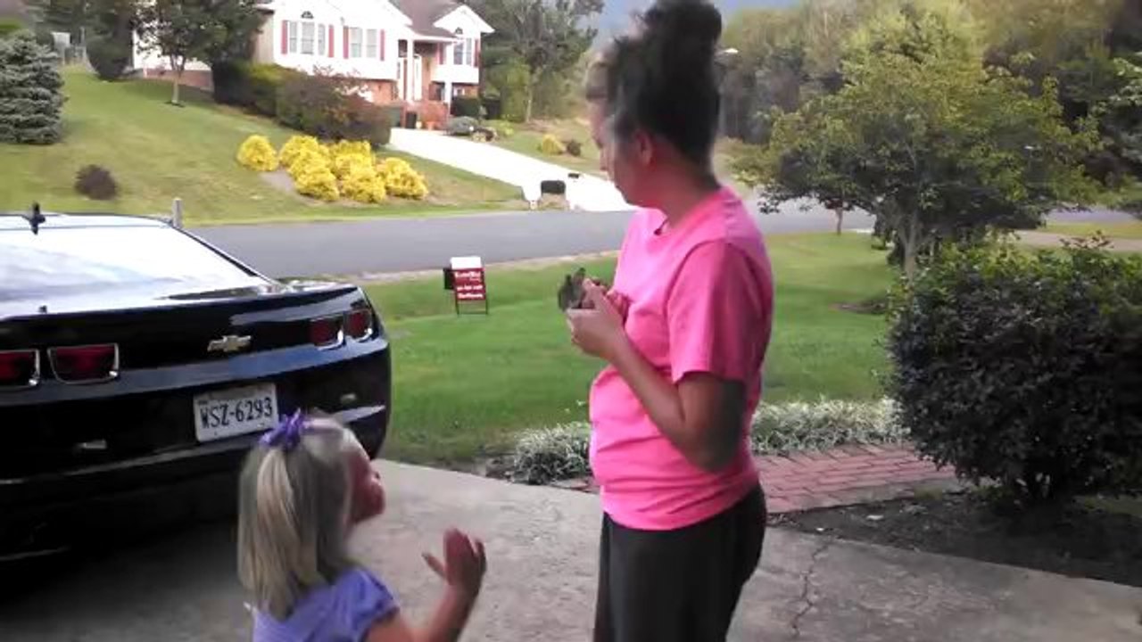 Der Beweis das Hasen fliegen können!