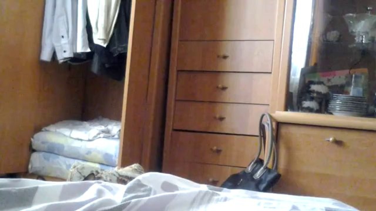 Der Blick der Katze ist der Wahnsinn