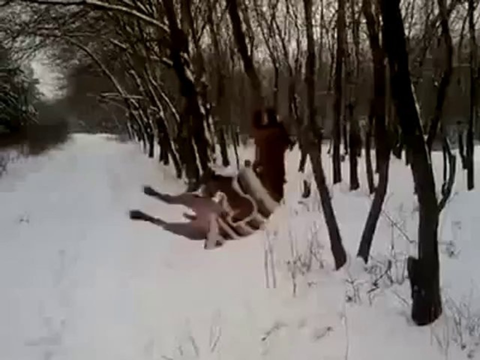 Der Hund muss dieses Stöckchen einfach haben!