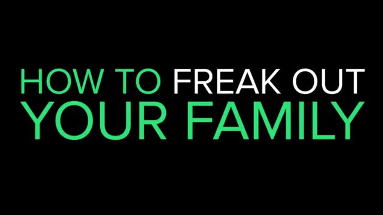 Die besten Hunde Vines 2013