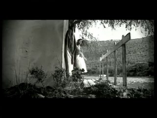 Grup Gündoğarken   -  Rüzgar