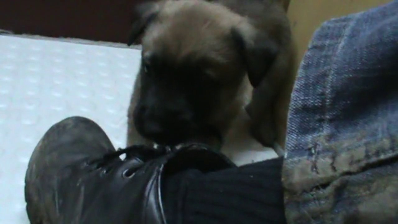 Be Aware G's @ Are this my Manolos?!