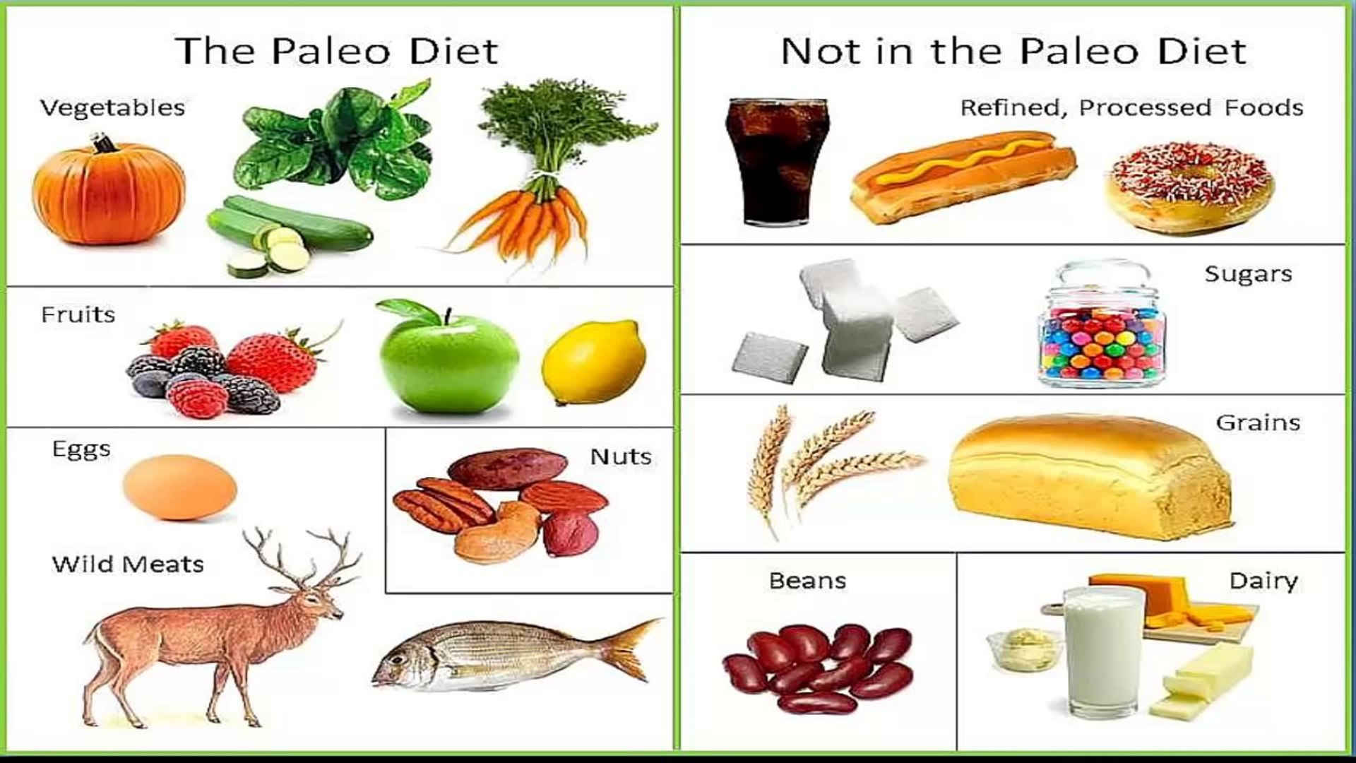 Paleo Foods - Paleo Food List - Paleo Diet Recipes - video Dailymotion