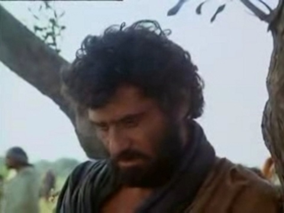 Jesus ( Extrait evangile St-Jean )