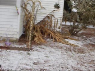 ❤ ☀ ❤ Ice Storm ❤ ☀ ❤