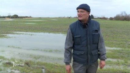 Agriculture : Les sols sont gorgés d'eau (St-Jean-de-Monts)