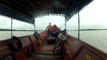 En bus/bateau dans les mangroves