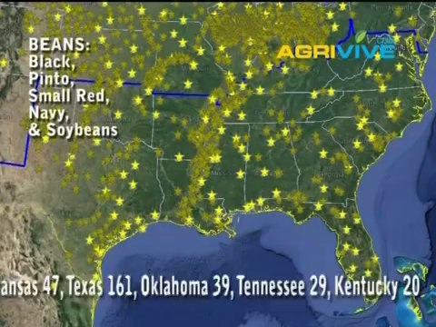 Beans Buyers, Beans Exporters, Beans Exports, Beans, USA Beans, Beans Wholesale, Beans Wholesalers