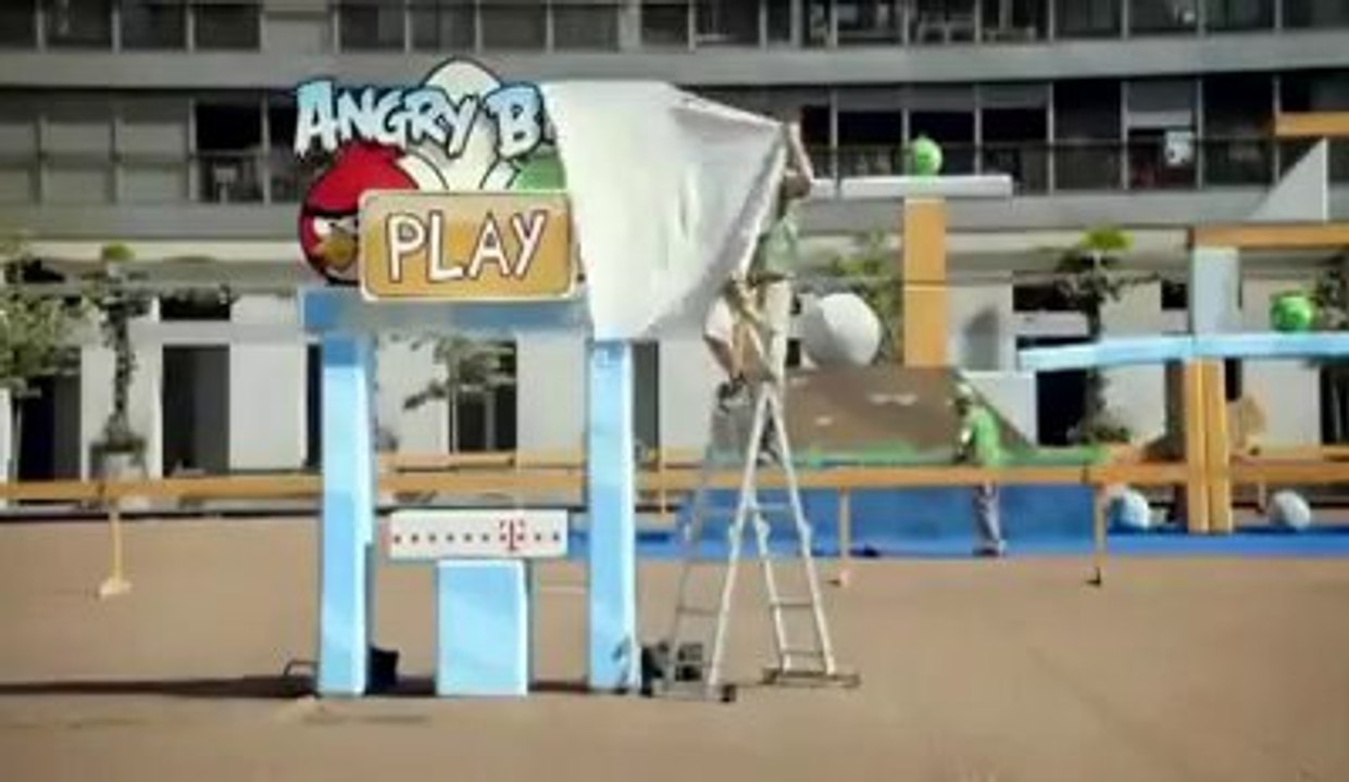 Angry Bird In Real