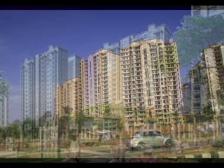 3 BHK Rent in DLF New Town Heights Sector 90 Gurgaon For Rent