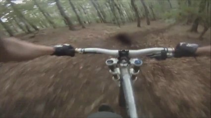 Downhill Trail MTB Crash Into Tree