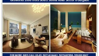 1000 trees select(((9871424442)))Sohna Sector 6 Gurgaon