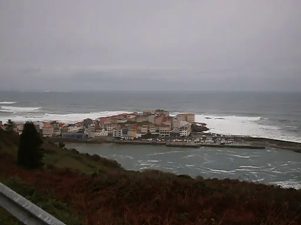 CAION