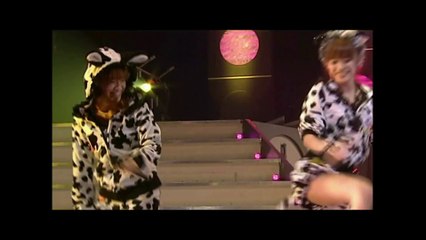 モーニング娘。　プラチナの真髄