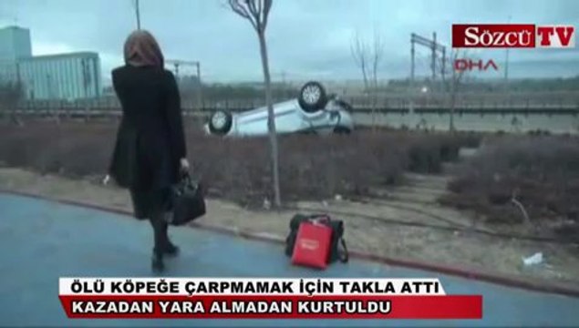 Ölü köpeğe çarpmamak için aracı takla attı