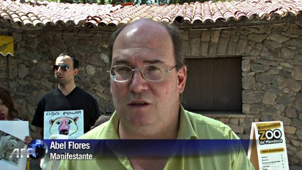 Urso polar Arturo fica na Argentina