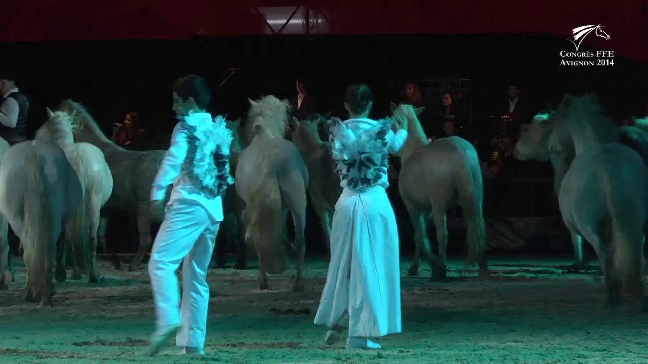 Congrès FFE. Avignon 2014. Atelier Cheval & Danse