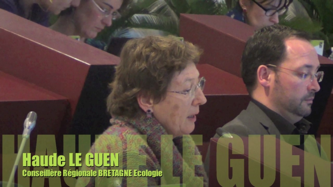 Haude LE GUEN ...Programme 512, LGV et fret