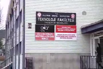 Sevgiliye solmayan gül