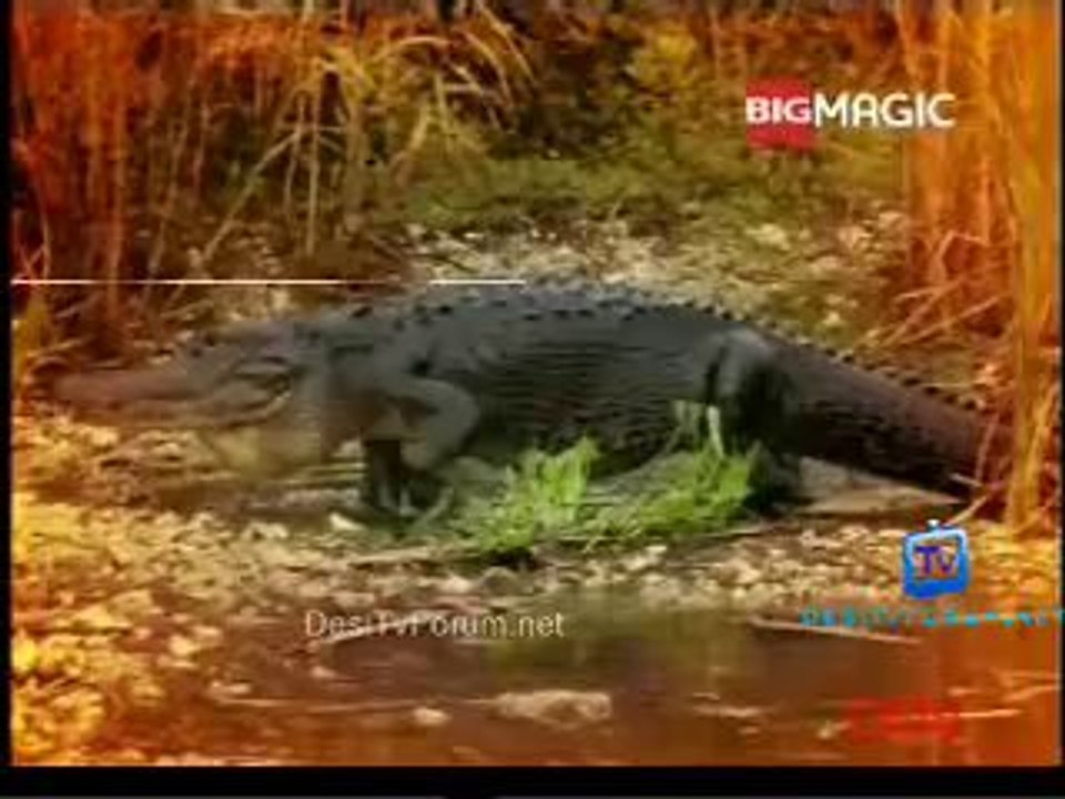 Jai Shri Krishna (Big Magic) 10th February 2014 Video Watch pt1