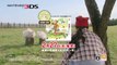3DS『牧場物語 つながる新天地』TVCM① アンゴラウサギ篇