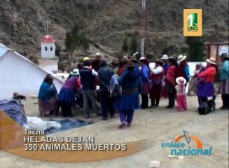 Las heladas no sólo han afectado a la región de Puno, sino también a la zona andina de Tacna