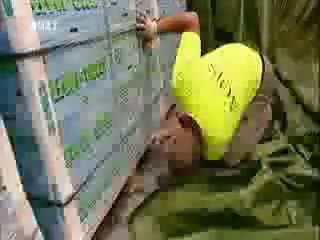 DMAX airport security