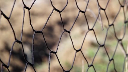 Wire Fence - Free HD stock footage