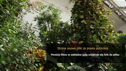 poradnik dla amatora fotografii