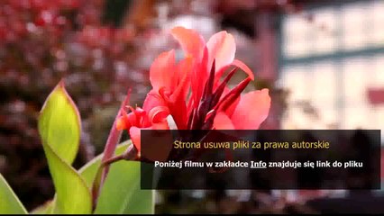 instrukcja obslugi radia opel corsa d