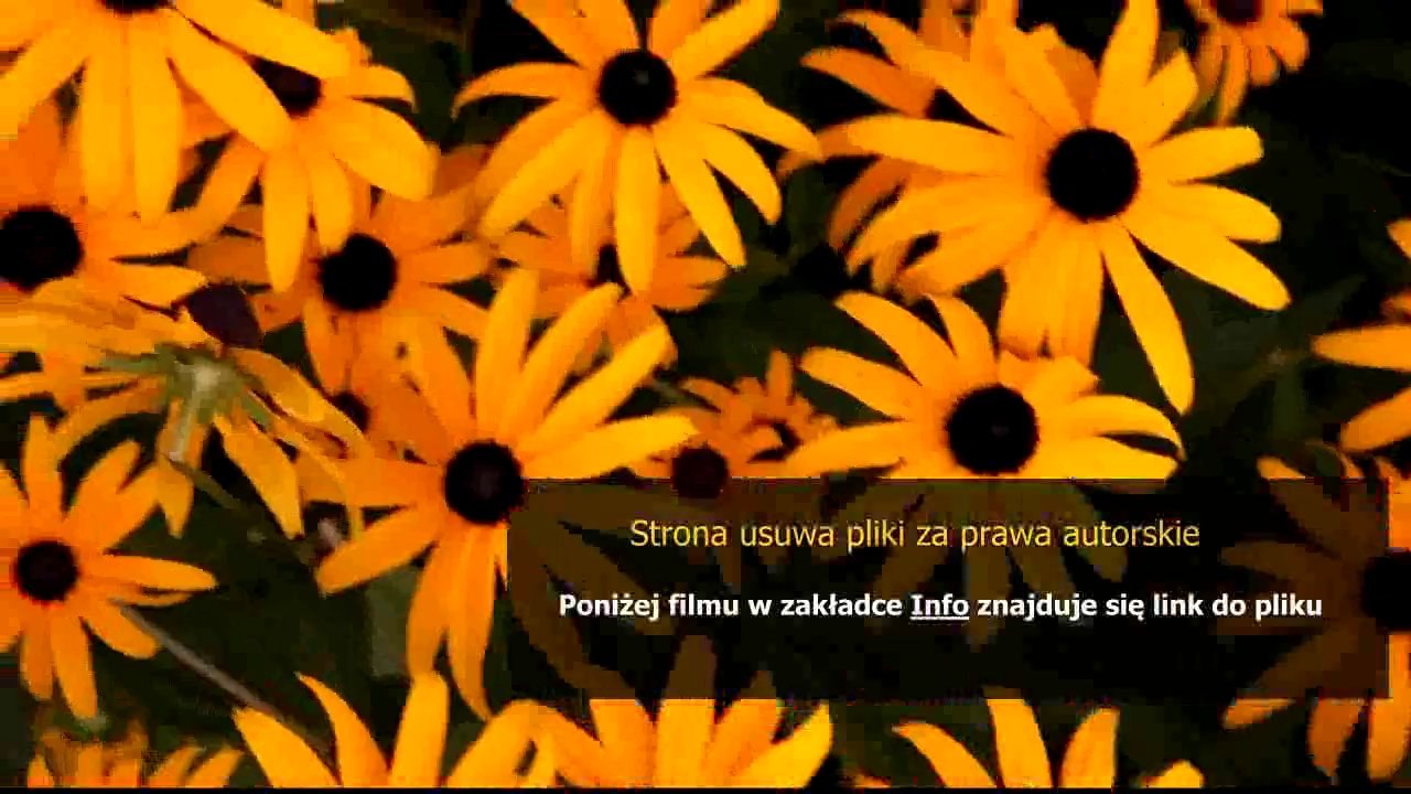 instrukcja obslugi sony ericsson xperia neo v