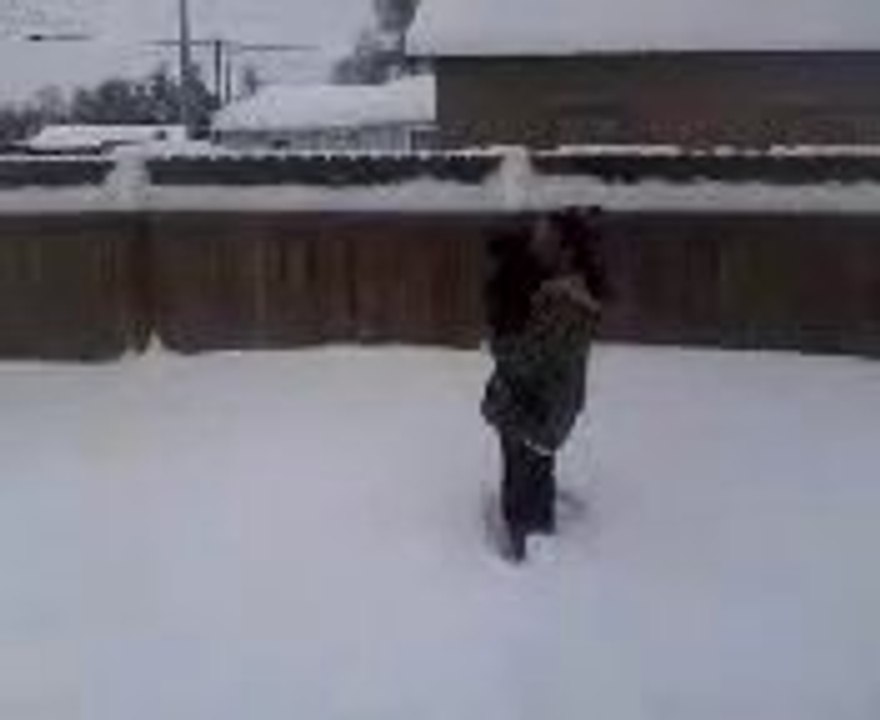 Cat and Snow