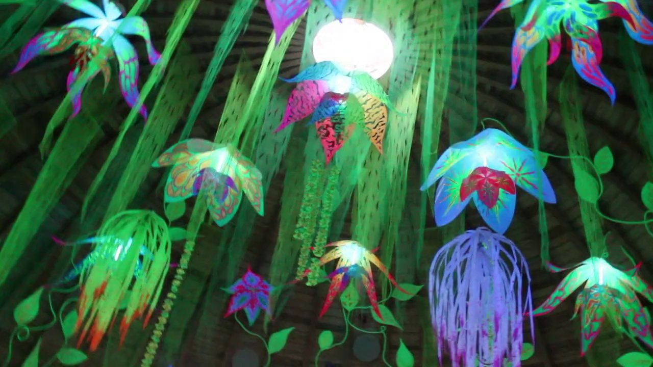 Festival Ozora 2012 Hongrie