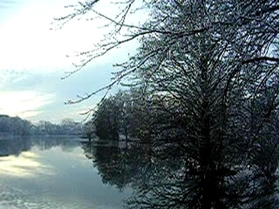 Cougar Lake after the ice storm