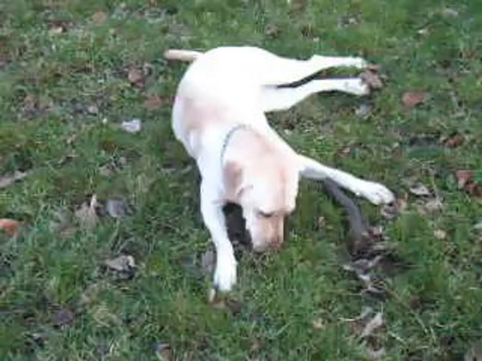 Honey - Janvier 2014 (1)