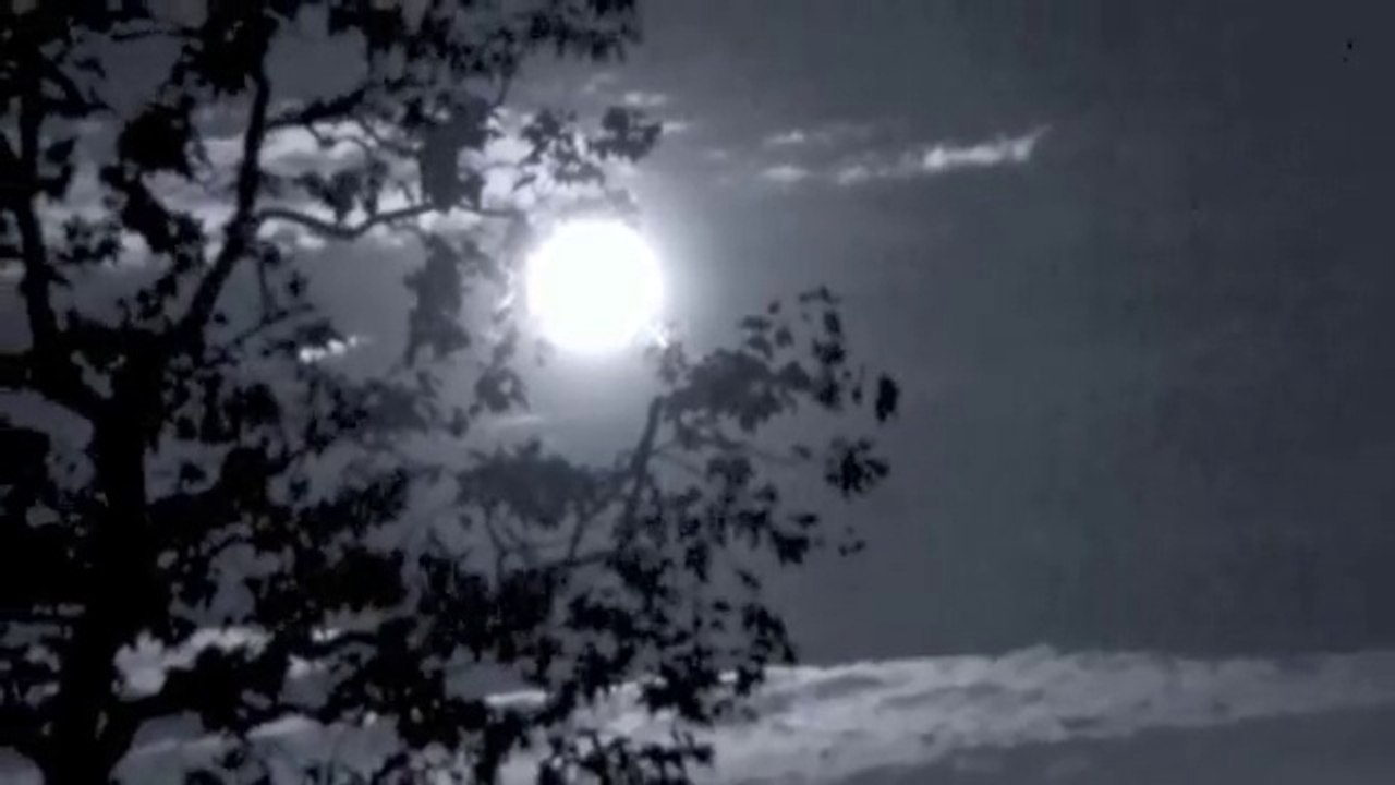 MURDER during a Blue Moon