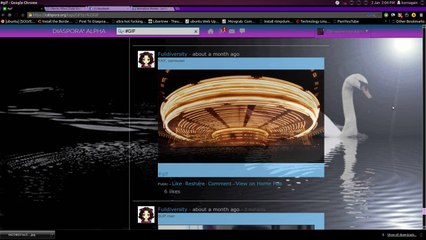 Theunseen Ones/Diaspora social media/Screencast