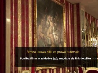 instrukcja obslugi samsung galaxy s