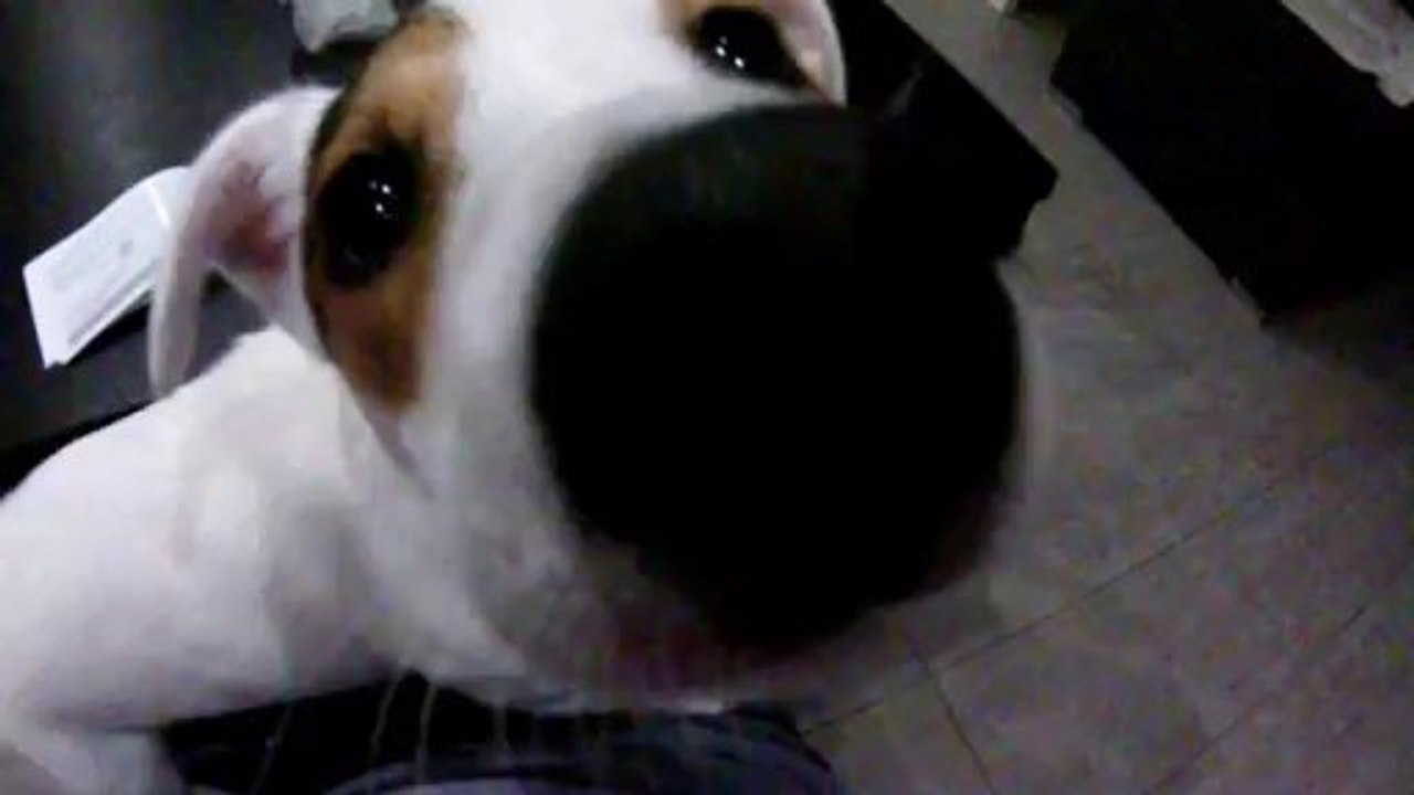 NIKITA