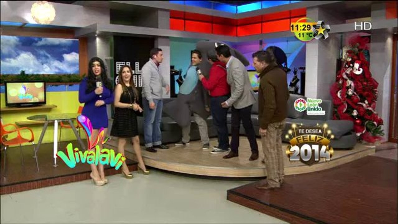 El Delfín en vivalavi