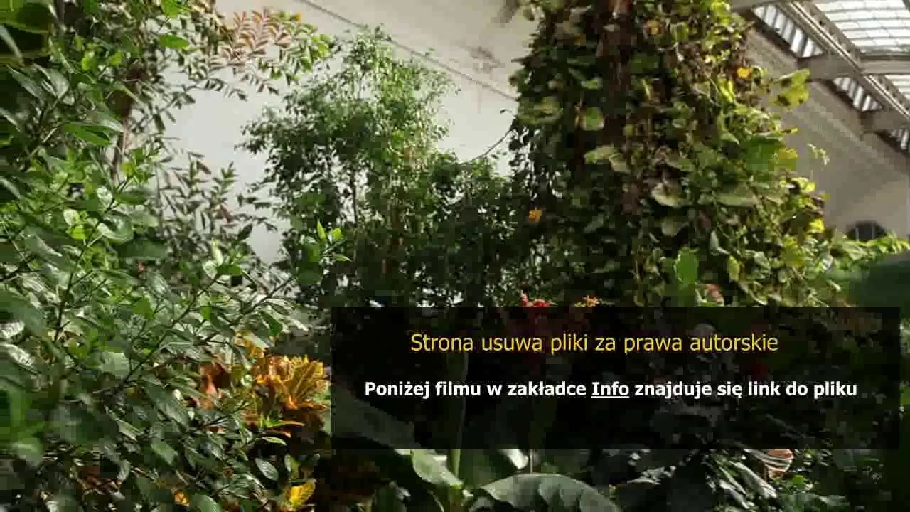 instrukcja obslugi nissan qashqai samochody