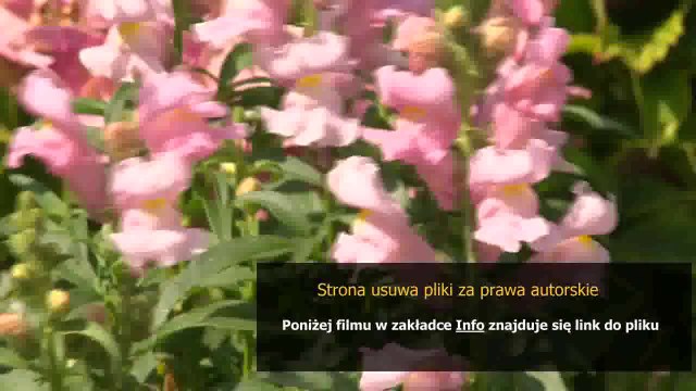 sony ericsson live with walkman instrukcja online