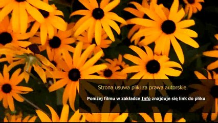 sposob na alcybiadesa film online