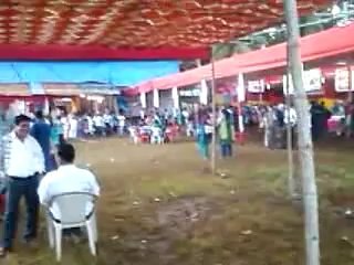 svb.05.bengal club.121013