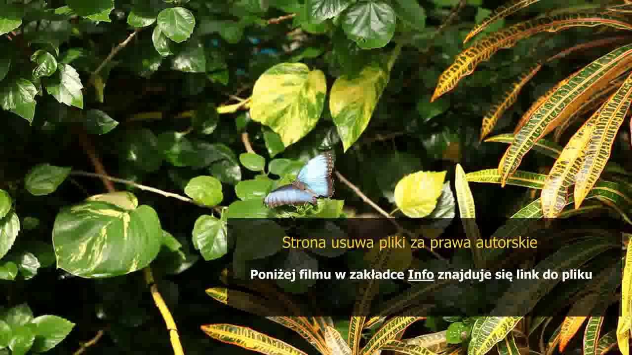 instrukcja magazynowania
