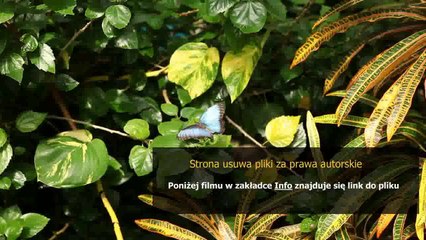 instrukcja magazynowania