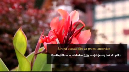 instrukcja montazu piekarnika bosch