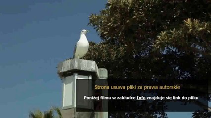 instrukcja zmywarki do zabudowy